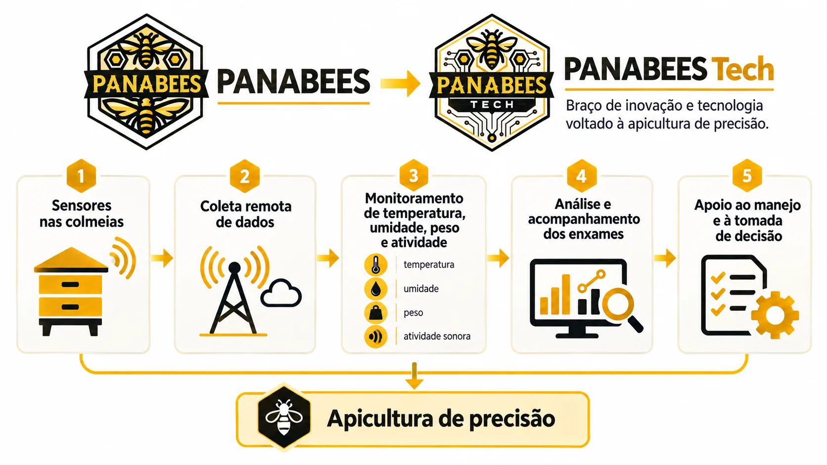 Fluxo da Apicultura de Precisão